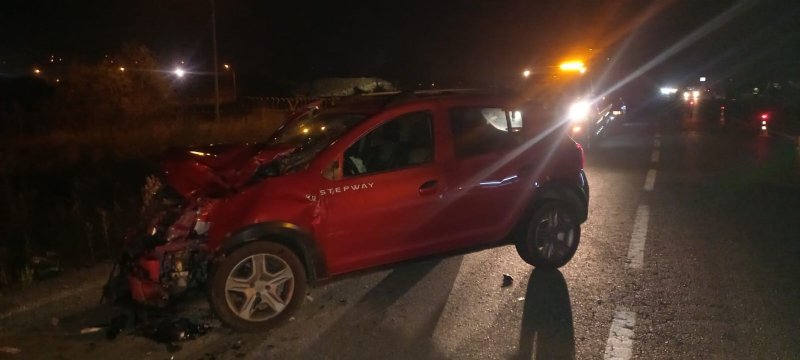 Yola aniden çıkan hayvan kazaya neden oldu: 2 yaralı  - 2