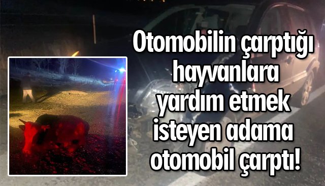 KORKUNÇ KAZA: 1 ÖLÜ 