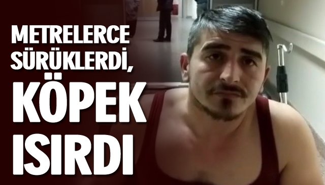 METRELERCE SÜRÜKLERDİ, KÖPEK ISIRDI