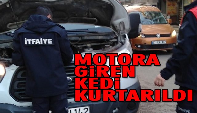 MOTORA GİREN KEDİ KURTARILDI