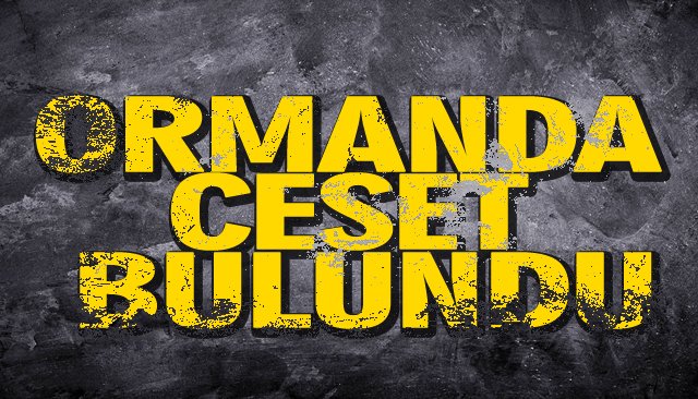 ORMANDA CESET BULUNDU