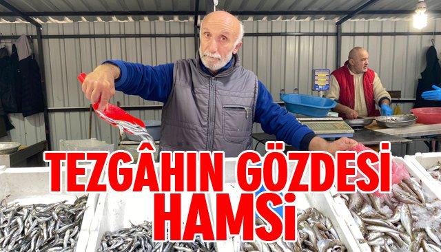 TEZGÂHIN GÖZDESİ HAMSİ