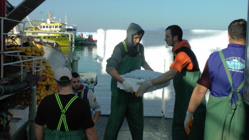 TONLARCA HAMSİ YAKALANDI, VATANDAŞA BEDAVA DAĞITILDI  - 3