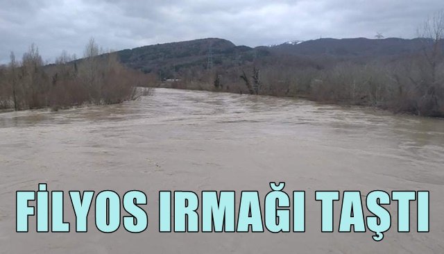 FİLYOS IRMAĞI TAŞTI