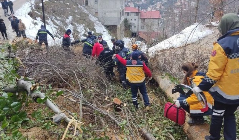  Kestiği ağacın altında kaldı - 2