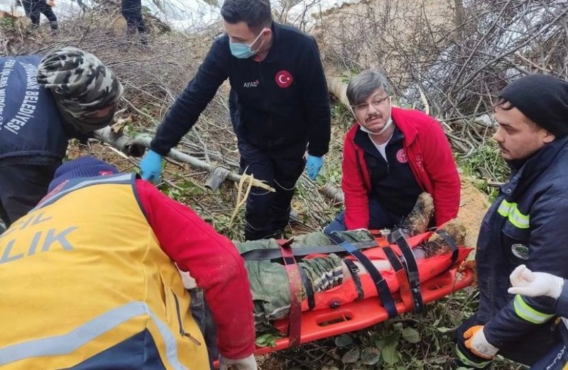 Kestiği ağacın altında kaldı - 3
