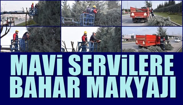 MAVİ SERVİLERE BAHAR MAKYAJI