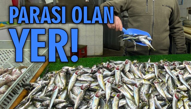 PARASI OLAN YER!