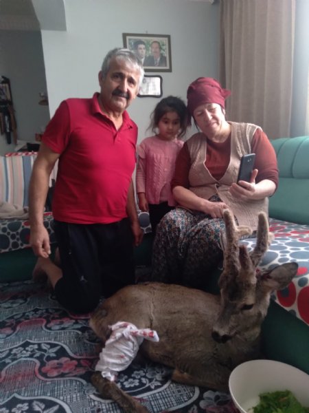 Yaralı karacayı evine alıp bebek gibi sevdi - 5