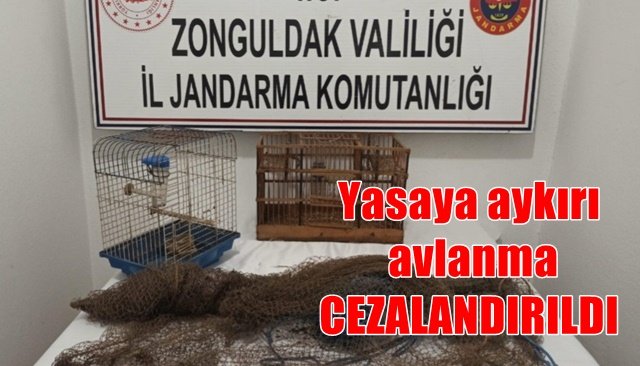 Yasaya aykırı avlanma cezalandırıldı