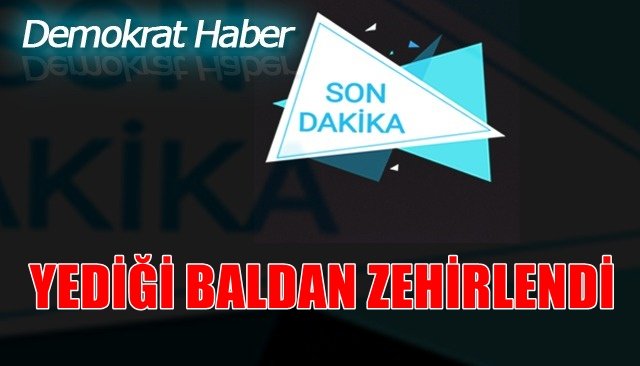 YEDİĞİ BALDAN ZEHİRLENDİ