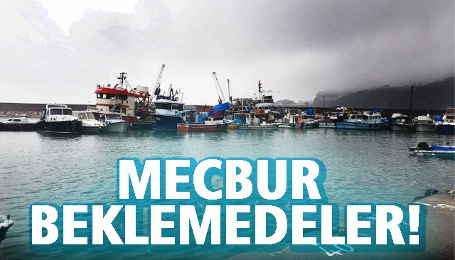 BALIKÇILAR, MECBUR BEKLEMEDE!
