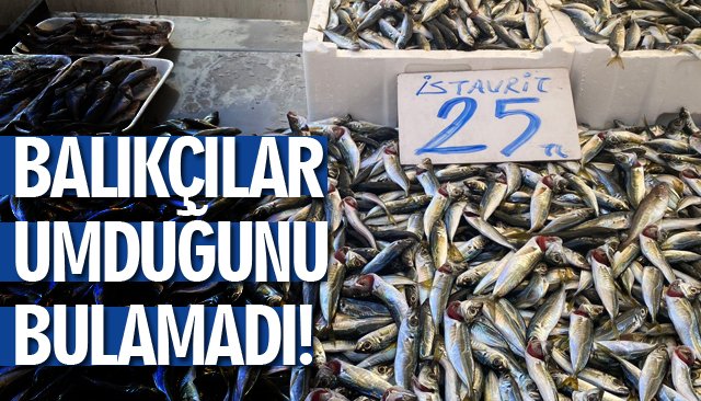 BALIKÇILAR UMDUĞUNU BULAMADI!