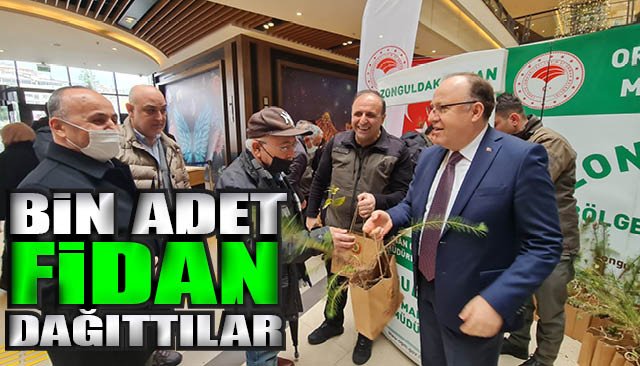 BİN ADET FİDAN DAĞITILDI