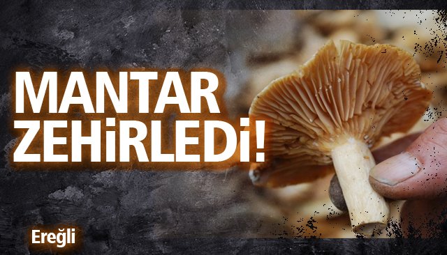 MANTAR ZEHİRLEDİ!