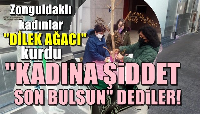 Zonguldaklı kadınlar dilek ağacı kurdu… “KADINA ŞİDDET SON BULSUN” DEDİLER