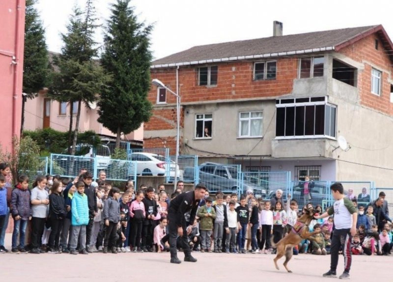 23 Nisan gösterisine eğitimli köpekler de katıldı… NE MARİFETLERİ VARMIŞ! - 5