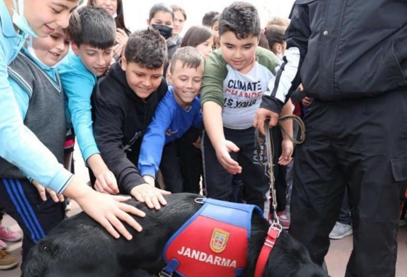 23 Nisan gösterisine eğitimli köpekler de katıldı… NE MARİFETLERİ VARMIŞ! - 1