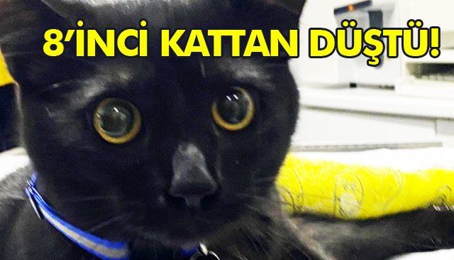 8’İNCİ KATTAN DÜŞTÜ!