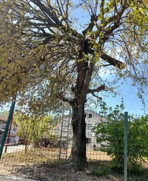 Elli yıllık ihtilaf… Tam sonuçlandı derken… TRAJİK BİR KAZA! - 4