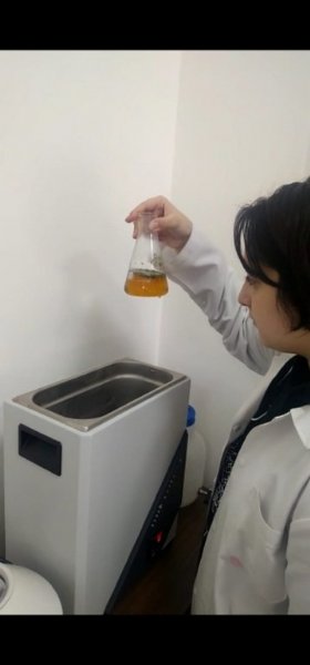 Ereğlili öğrenci, Ereğli’de yetişen bitkiden elde etti; küf sorunu artık bitiyor! - 2