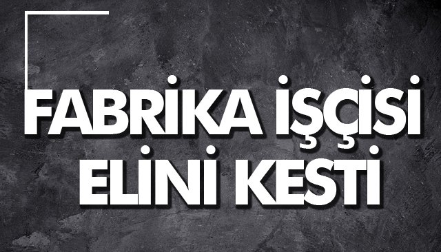 FABRİKA İŞÇİSİ ELİNİ KESTİ