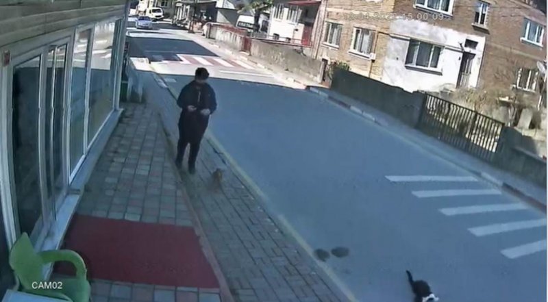 KEDİYE ÇARPIP ÖLDÜREN SÜRÜCÜYE PARA CEZASI - 5