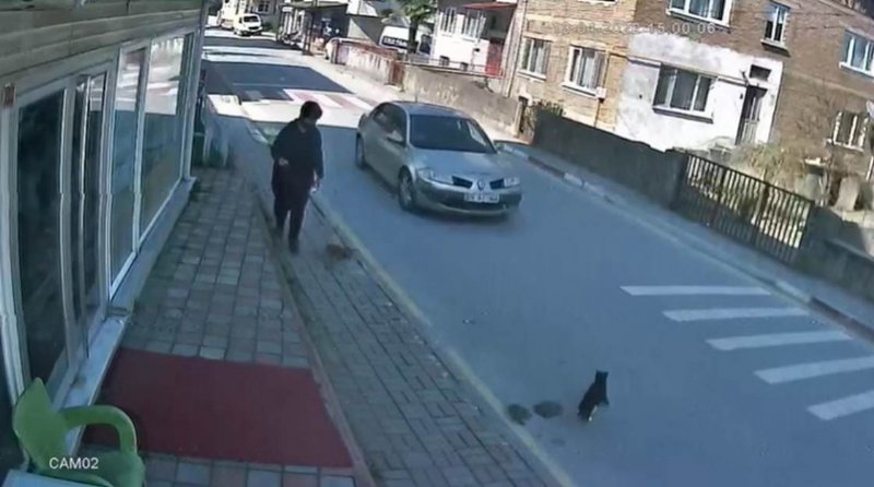 KEDİYE ÇARPIP ÖLDÜREN SÜRÜCÜYE PARA CEZASI - 2