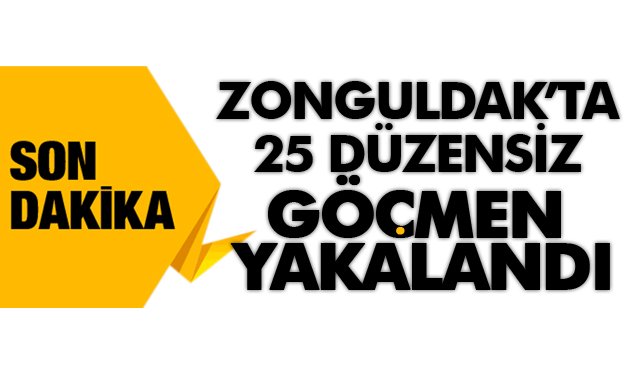 25 DÜZENSİZ GÖÇMEN YAKALANDI 