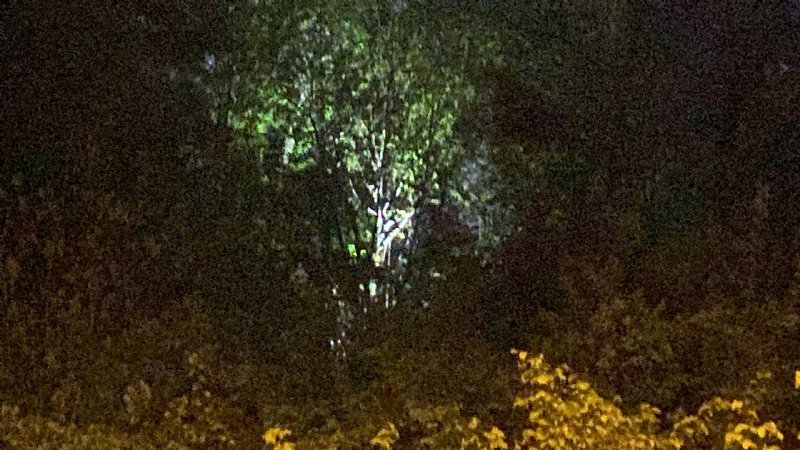 25 gündür aranan gencin cansız bedeni ağaca asılı bulundu - 3