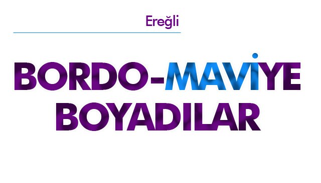 BORDO-MAVİYE BOYADILAR