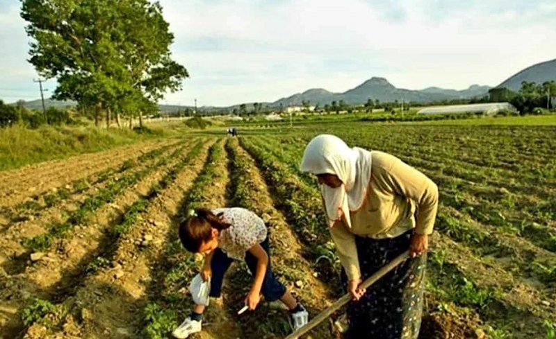 ÇİFTÇİYE YAZILAN ‘REÇETE’ İŞE YARADI - 7