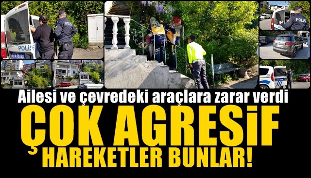 ÇOK AGRESİF HAREKETLER BUNLAR
