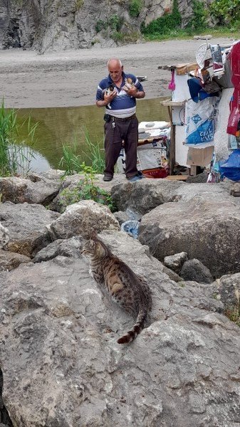 EMEKLİ MAAŞININ BÜYÜK KISMINI 23 YILDIR KEDİLERE HARCIYOR - 6