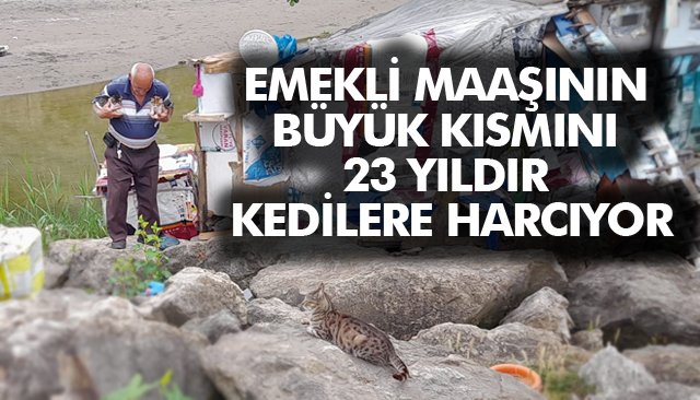 EMEKLİ MAAŞININ BÜYÜK KISMINI 23 YILDIR KEDİLERE HARCIYOR