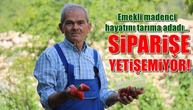 Emekli madenci hayatını tarıma adadı… SİPARİŞE YETİŞEMİYOR