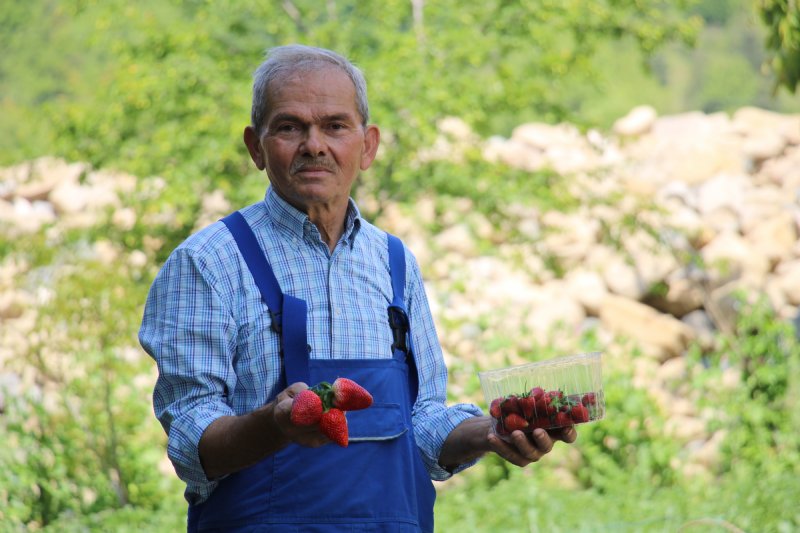 Emekli madenci hayatını tarıma adadı… SİPARİŞE YETİŞEMİYOR - 5