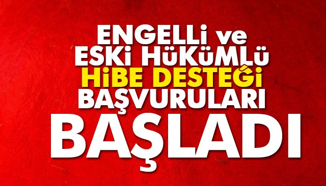 ENGELLİ VE ESKİ HÜKÜMLÜ HİBE DESTEĞİ BAŞVURULARI BAŞLADI