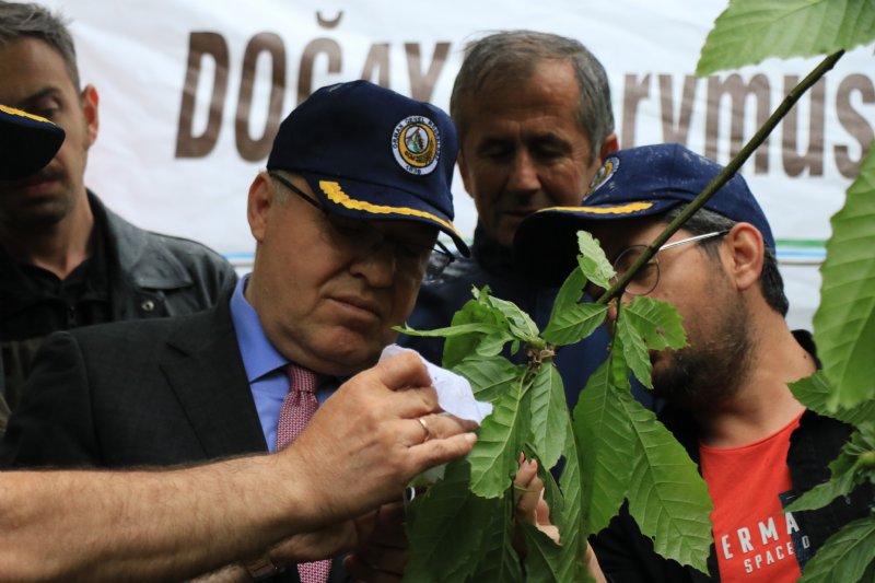 Gal arısıyla mücadele edecek… TERMİNATÖR BÖCEK ZONGULDAK’TA - 2