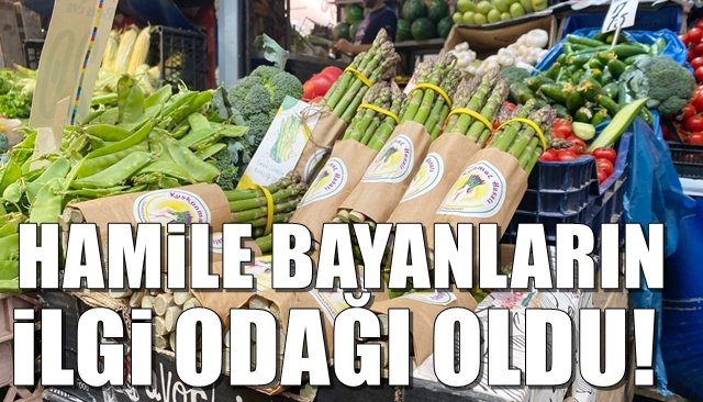 Hamile bayanların ilgi odağı oldu