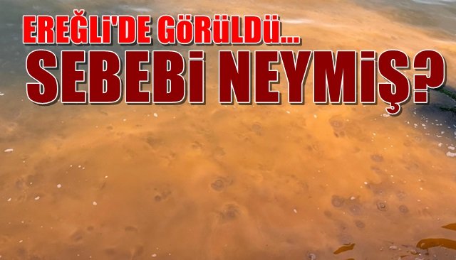 Karadeniz Ereğli’de görüldü… SEBEBİ NEYMİŞ?