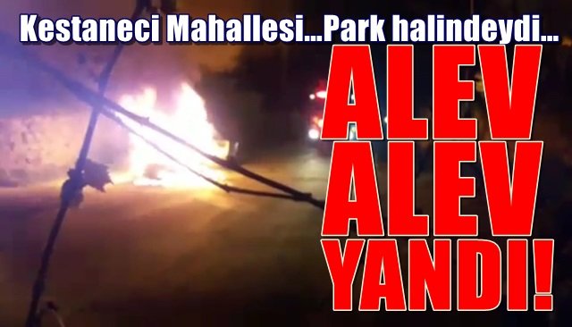 Kestaneci Mahallesi…Park halindeydi… ALEV ALEV YANDI