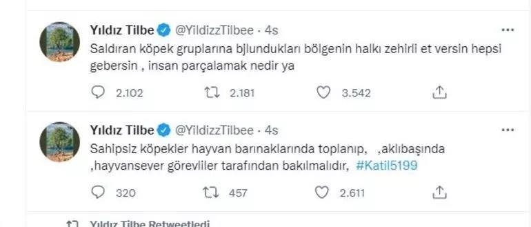 TİLBE’YE TEPKİ VAR: “ŞEHRİMİZDE İSTEMİYORUZ” - 5