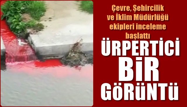 ÜRPERTİCİ BİR GÖRÜNTÜ