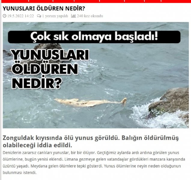 YUNUSLARIN ÖLMESİ CAN SIKIYOR! - 2