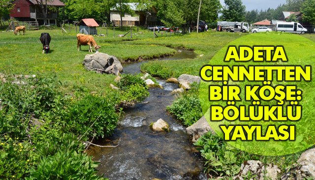 ADETA CENNETTEN BİR KÖŞE: BÖLÜKLÜ YAYLASI