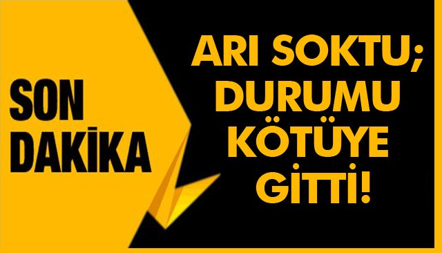 ARI SOKTU; DURUMU KÖTÜYE GİTTİ!