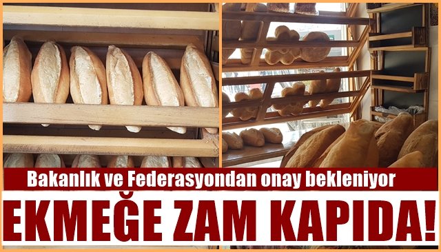 Bakanlık ve Federasyondan onay bekleniyor… EKMEK ZAMMI KAPIDA