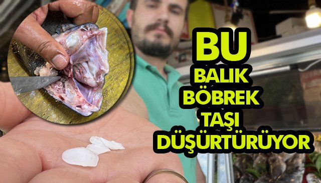 BU BALIK BÖBREK TAŞI DÜŞÜRTÜYOR 