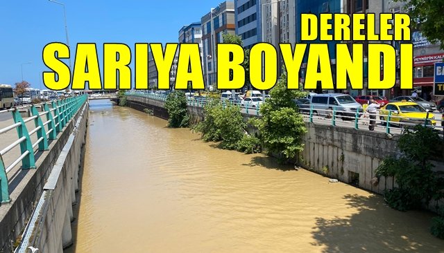 Dereler sarıya boyandı